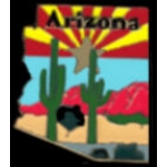 ARIZONA STATE SHAPE FLAG COLORS PIN